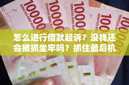 武汉怎么进行借款起诉？没钱还会被抓坐牢吗？抓住最后机会！