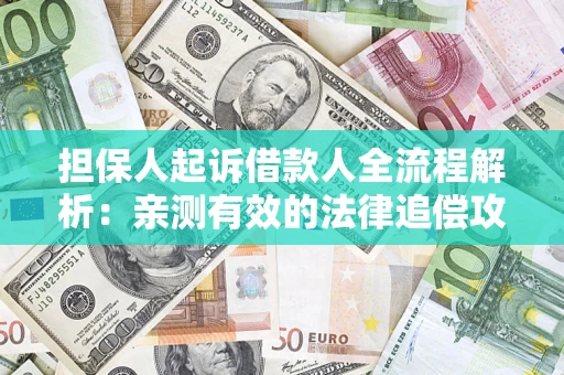 武汉担保人起诉借款人全流程解析：亲测有效的法律追偿攻略