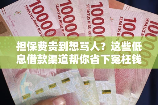 武汉担保费贵到想骂人？这些低息借款渠道帮你省下冤枉钱