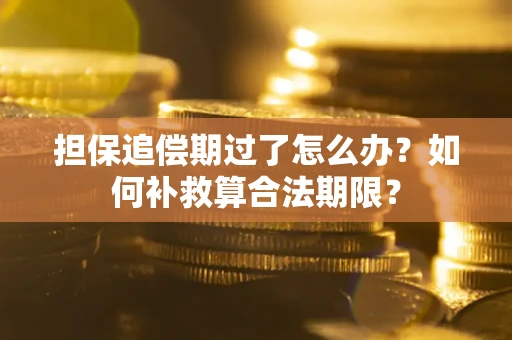 武汉担保追偿期过了怎么办？如何补救算合法期限？