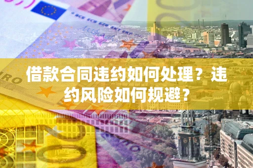 武汉借款合同违约如何处理？违约风险如何规避？