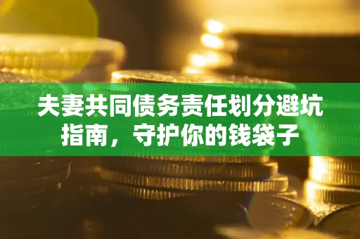武汉夫妻共同债务责任划分避坑指南，守护你的钱袋子