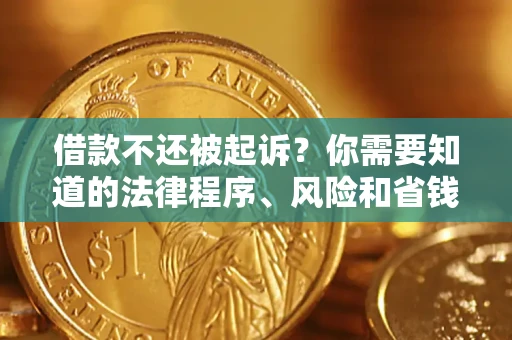 武汉借款不还被起诉？你需要知道的法律程序、风险和省钱技巧