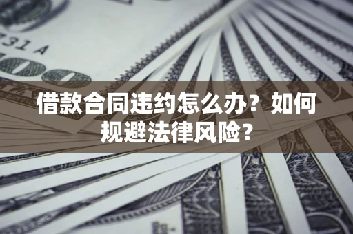 武汉借款合同违约怎么办？如何规避法律风险？
